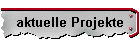 aktuelle Projekte